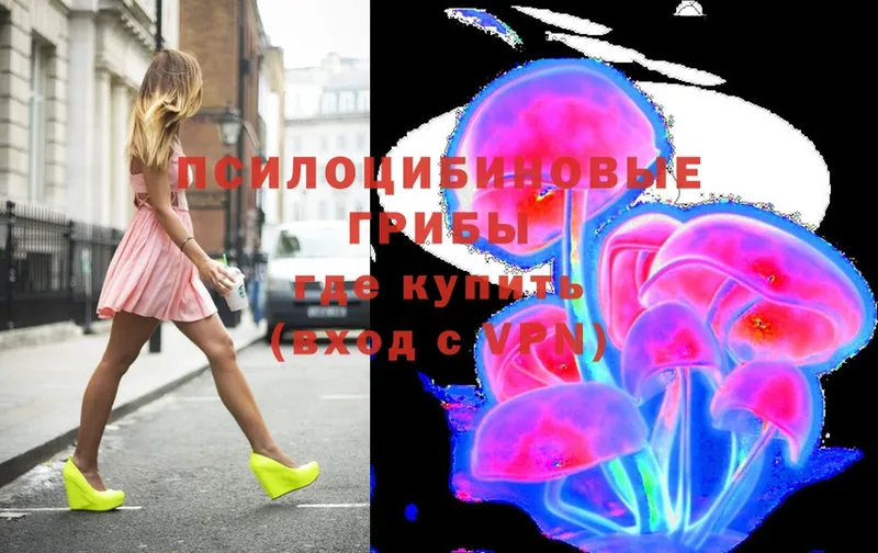 Псилоцибиновые грибы Magic Shrooms  Большой Камень 